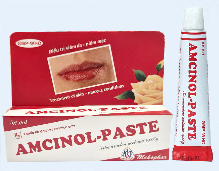 Amcinol Paste tuýp 5g Mekophar