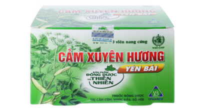 Cảm xuyên hương hộp 10 vỉ x 10 viên nang Yên Bái