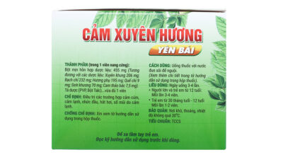 Cảm xuyên hương hộp 10 vỉ x 10 viên nang Yên Bái