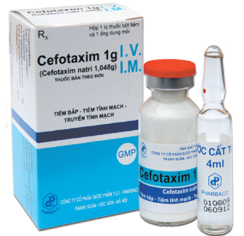 Cefotaxim 1g TW1 Pharbaco hộp 1 lọ thuốc bột tiêm + 1 ống dung môi